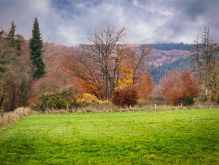 009 Dreiborner Hochfläche