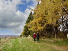 010 Dreiborner Hochfläche