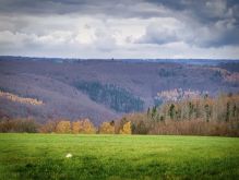 011 Dreiborner Hochfläche