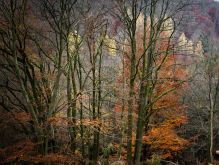 018 Dreiborner Hochfläche