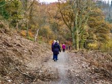 019 Dreiborner Hochfläche