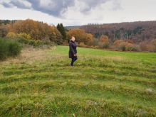 023 Dreiborner Hochfläche