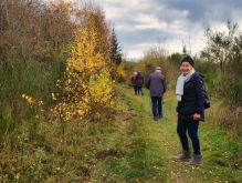 026 Dreiborner Hochfläche