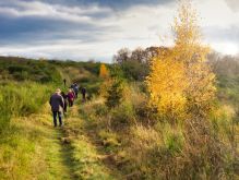 028 Dreiborner Hochfläche