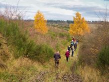 029 Dreiborner Hochfläche