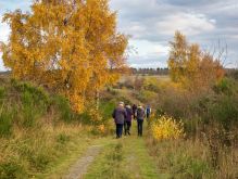 030 Dreiborner Hochfläche