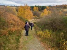 032 Dreiborner Hochfläche