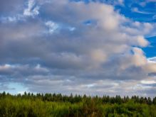 034 Dreiborner Hochfläche