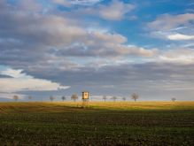 036 Dreiborner Hochfläche