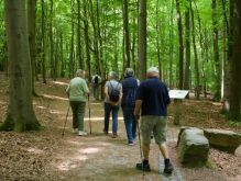 011 Wanderung Im Kermeter
