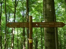 023 Wanderung Im Kermeter