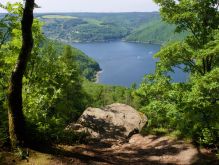 028 Wanderung Im Kermeter