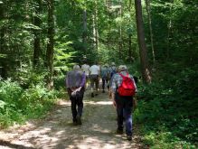 004 Zu Den Katzensteinen Bei Mechernich