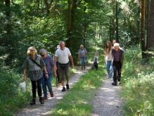 005 Zu Den Katzensteinen Bei Mechernich