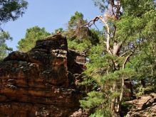 013 Zu Den Katzensteinen Bei Mechernich