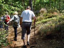 026 Zu Den Katzensteinen Bei Mechernich