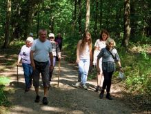 027 Zu Den Katzensteinen Bei Mechernich