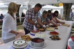  DSC0232 Copy 57b190348fad8