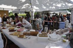  DSC0241 Copy 57b190b0aa219