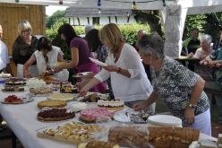  DSC0242 Copy 57b190d599128