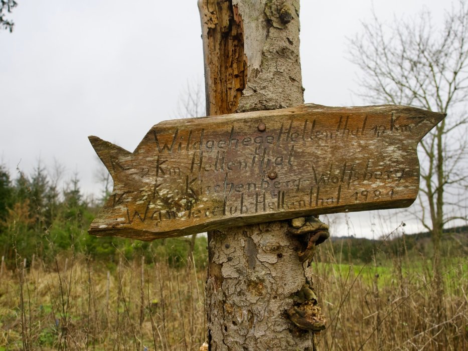 Abschlusswanderung003