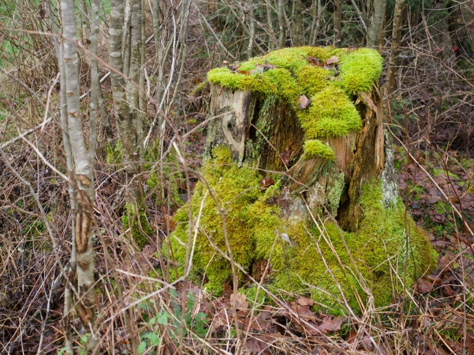 Abschlusswanderung006