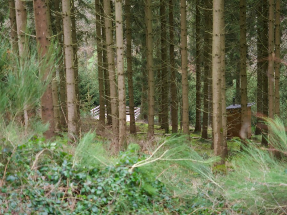 Abschlusswanderung011