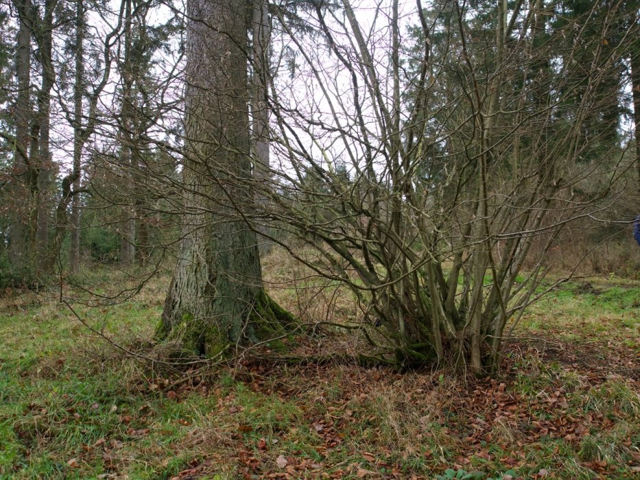 Abschlusswanderung016