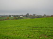 Dreiborn   Patersweiher   Alte Eiche  Berescheider Mühle   Eifel Blick003