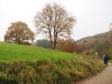 Dreiborn   Patersweiher   Alte Eiche  Berescheider Mühle   Eifel Blick006