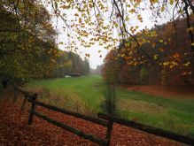 Dreiborn   Patersweiher   Alte Eiche  Berescheider Mühle   Eifel Blick010