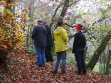 Dreiborn   Patersweiher   Alte Eiche  Berescheider Mühle   Eifel Blick014