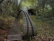 Dreiborn   Patersweiher   Alte Eiche  Berescheider Mühle   Eifel Blick018