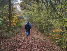 Dreiborn   Patersweiher   Alte Eiche  Berescheider Mühle   Eifel Blick025