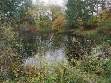 Dreiborn   Patersweiher   Alte Eiche  Berescheider Mühle   Eifel Blick029