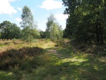Droover Heide019