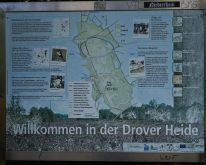 Droover Heide020