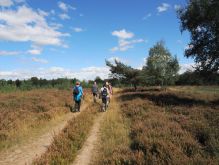Droover Heide027