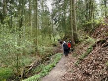 Bereich Reifferscheid004