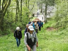 Bereich Reifferscheid008