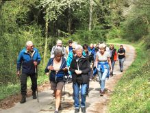 Bereich Reifferscheid010