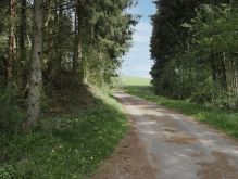 Bereich Reifferscheid014