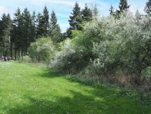 Bereich Reifferscheid016