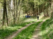 Bereich Reifferscheid021