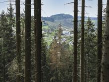 Bereich Reifferscheid022