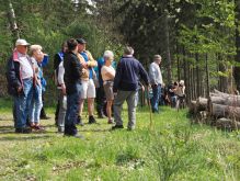 Bereich Reifferscheid026