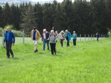 Bereich Reifferscheid029