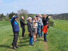 Bereich Reifferscheid030