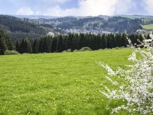 Bereich Reifferscheid031