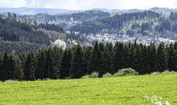 Bereich Reifferscheid032